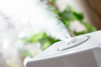 Maintain the Necessary Humidity Levels of Your Home with Humidifier Repair!